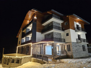 Cozy nest apartment in Bakuriani